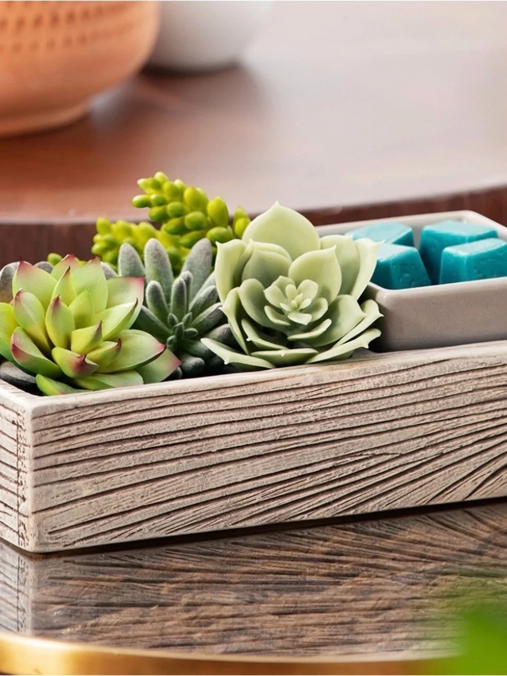 Scentsy Succulent Warmer